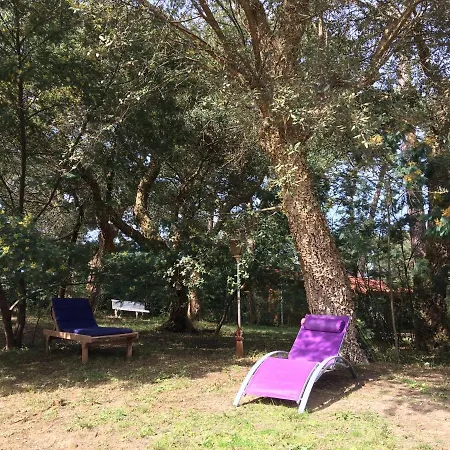 HOSSEGOR, Villa à 100 m du lac marin *